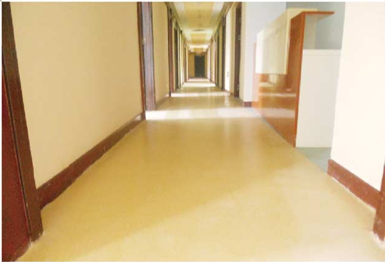 新疆博爾塔拉自治州精河縣人民醫院|醫用地板